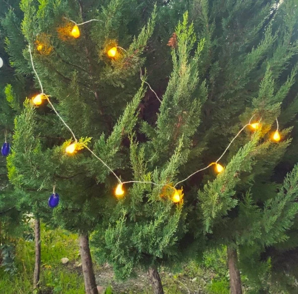 Deniz Kabuklu Pilli Dekoratif Led Işık Yılbaşı Süsü 2 Metre - 11