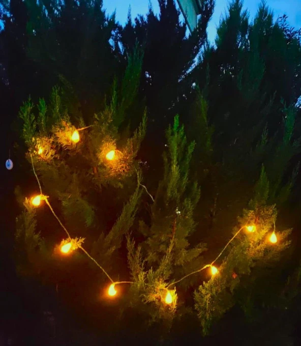 Deniz Kabuklu Pilli Dekoratif Led Işık Yılbaşı Süsü 2 Metre - 12