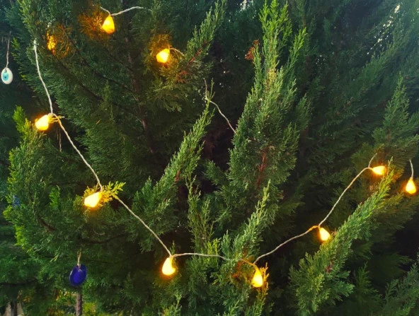 Deniz Kabuklu Pilli Dekoratif Led Işık Yılbaşı Süsü 2 Metre - 2