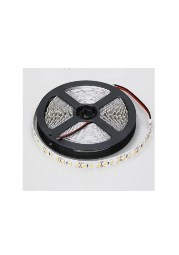 Cata Ct-4481L 10 Çip İç Mekan Günışığı Şerit Led 5 Mt 12V