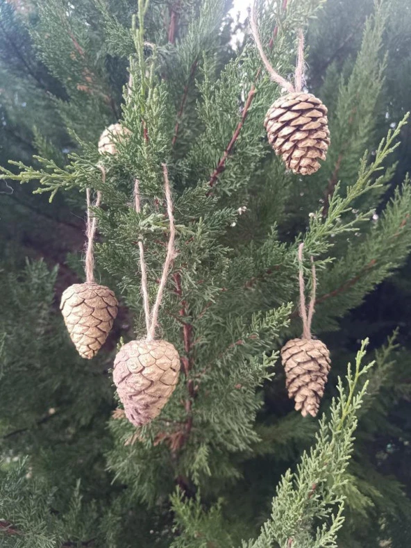 5 Adet İpli Çam Kozalak Yılbaşı Çam Ağaç Süsü Hobi Parti Malzemesi Altın Simli Renk - 8