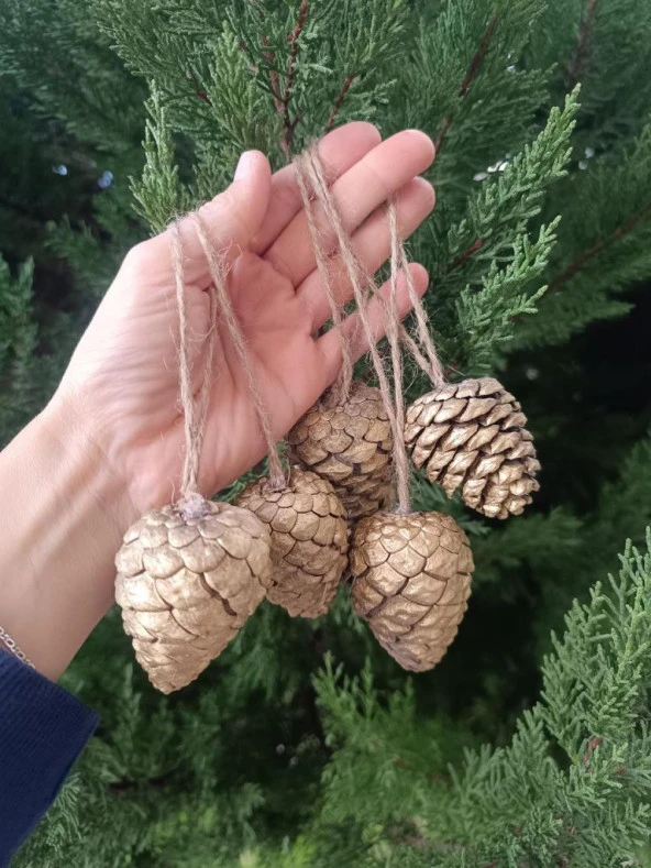 5 Adet İpli Çam Kozalak Yılbaşı Çam Ağaç Süsü Hobi Parti Malzemesi Altın Simli Renk - 3