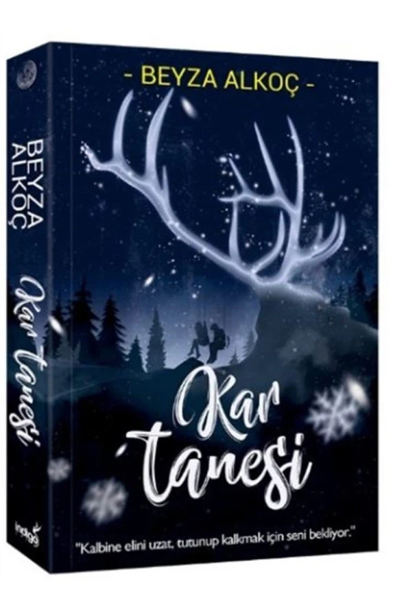 İndigo - Kar Tanesi - Beyza Alkoç - 1