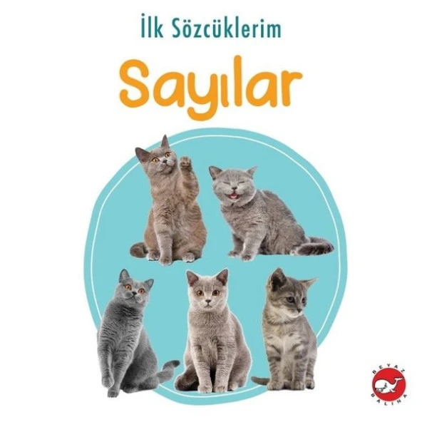 Beyaz Balina - İlk Sözcüklerim Sayılar