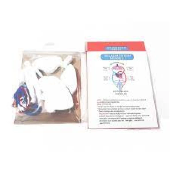 Dolaşım Sistemi Seti ürün görseli 1