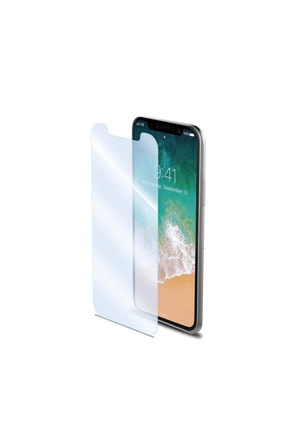 Celly  Easy Glass Iphone X Matt Ekran Koruyucu Easy900m