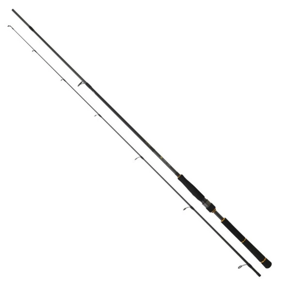 Daiwa New Bg Seabass 250cm 10-35gr Spin Olta Kamışı