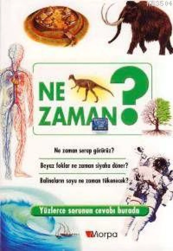 Morpa Okulöncesi - Ne Zaman