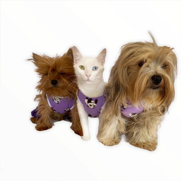 Chique Panda Kedi Tulumu Kedi Kıyafeti Kedi Elbisesi - Resim 7