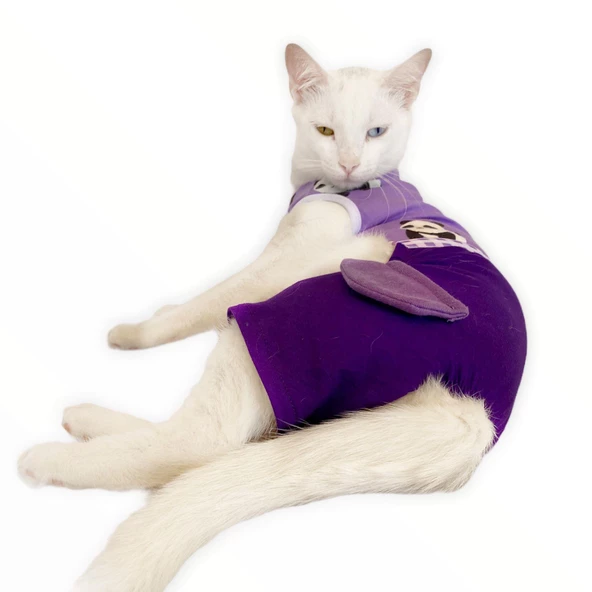 Chique Panda Kedi Tulumu Kedi Kıyafeti Kedi Elbisesi - Resim 5