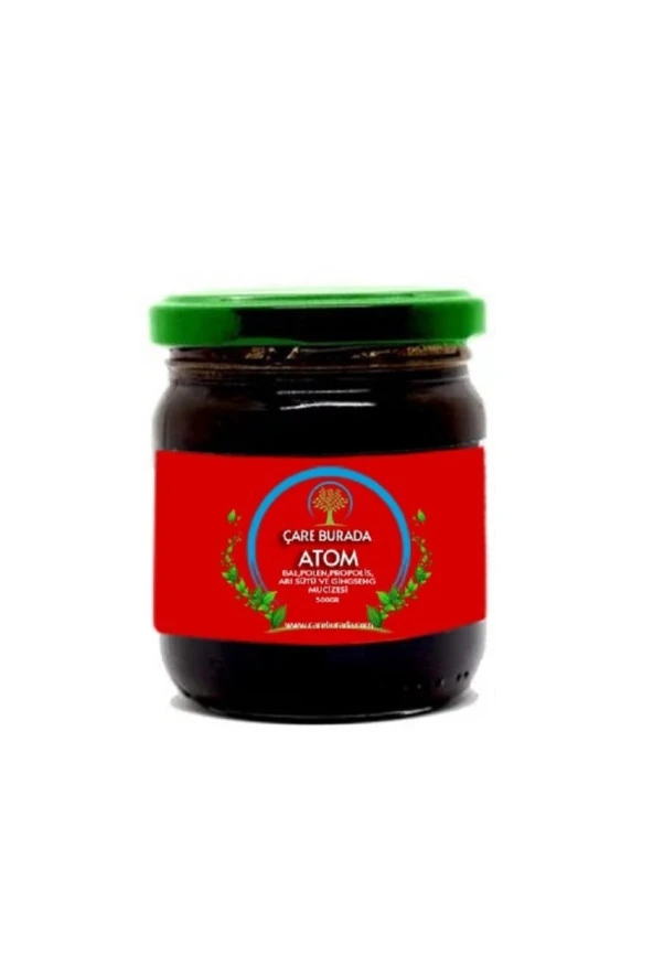 ÇARE BURADA Atom Performans Macunu 500 Gr