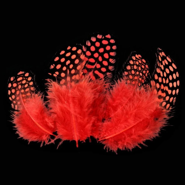 50 ADET PUANTİYELİ KIRMIZI SİYAH KUŞ TÜYÜ KIRMIZI KUŞ TÜYÜ DECOR RED BIRD FEATHER KIRMIZI ŞEFFAF BALON TÜYÜ ürün görseli
