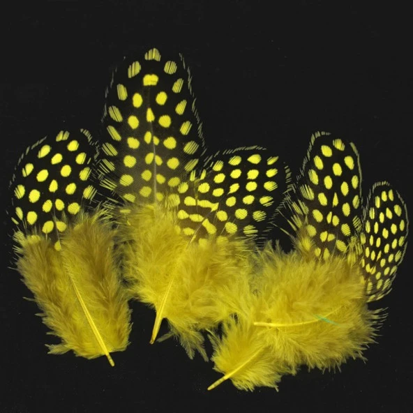 50 ADET PUANTİYELİ SARI SİYAH KUŞ TÜYÜ SARI KUŞ TÜYÜ DECOR YELLOW BIRD FEATHER SARI ŞEFFAF BALON TÜYÜ ürün görseli