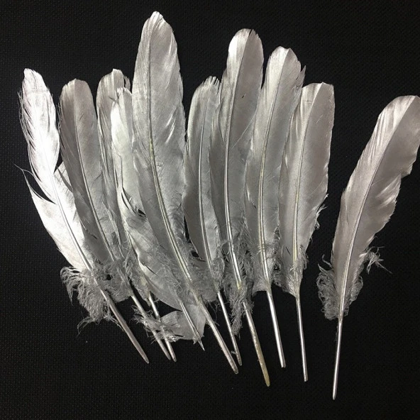 10 ADET METALİK PARLAK GÜMÜŞ KUŞ TÜYÜ GÜMÜŞ KUŞ TÜYÜ DECOR SİLVER BIRD FEATHER GÜMÜŞ ŞEFFAF BALON TÜYÜ ürün görseli