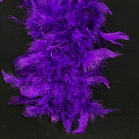 100 ADET MOR KUŞ TÜYÜ DECOR PURPLE BIRD FEATHER MOR ŞEFFAF BALON TÜYÜ DEKORATİK MOR SÜSLEME TÜYÜ ürün görseli