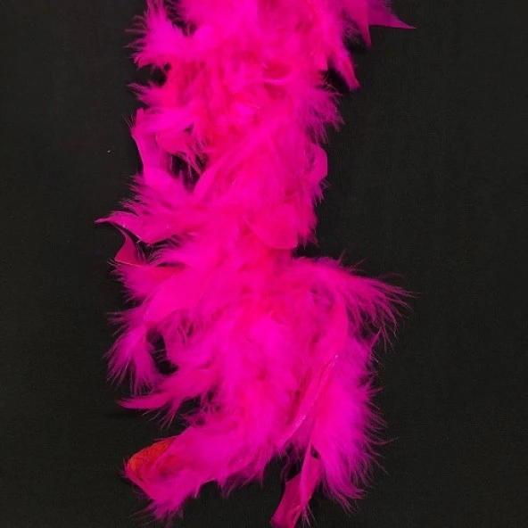 100 ADET FUŞYA KUŞ TÜYÜ DECOR FUCHSİA BIRD FEATHER FUŞYA ŞEFFAF BALON TÜYÜ DEKORATİK FUŞYA SÜSLEME TÜYÜ ürün görseli