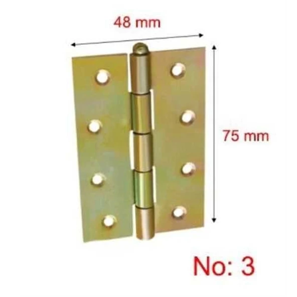 Amerikan Yaprak Menteşe (24 Adet) - 3 No - Resim 2