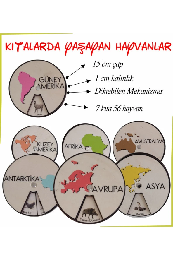 Ahşap Renkli Kıtalar Ve Kıtalarda Yaşayan Hayvanlar