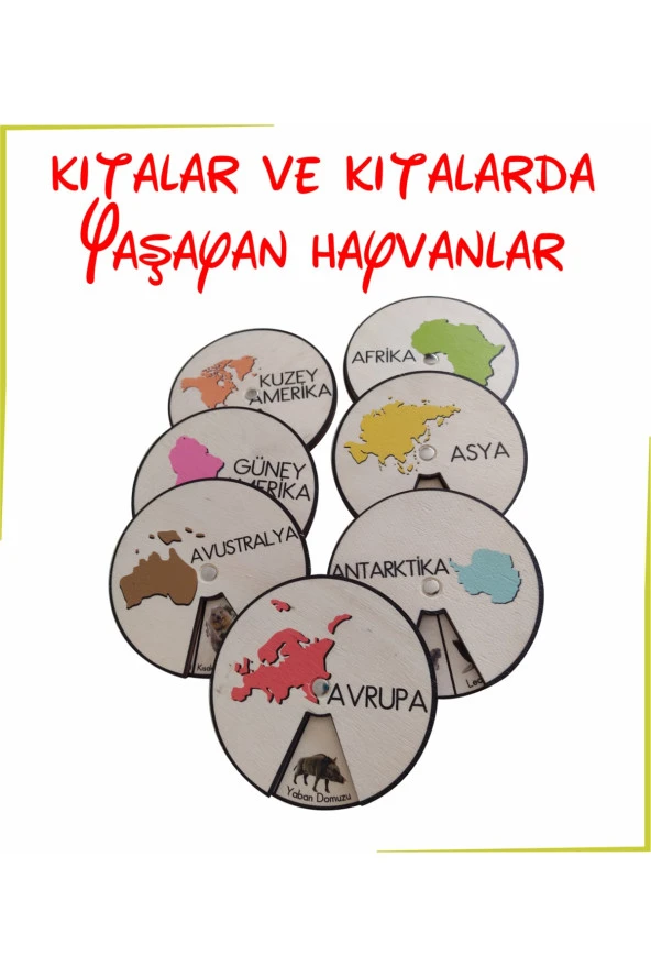 Ahşap Renkli Kıtalar Ve Kıtalarda Yaşayan Hayvanlar - 2