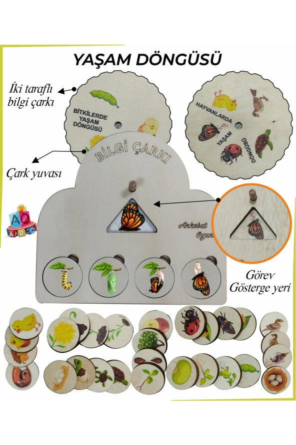Bilgi Çarkı Fen Seti 2 Yaşam Döngüsü