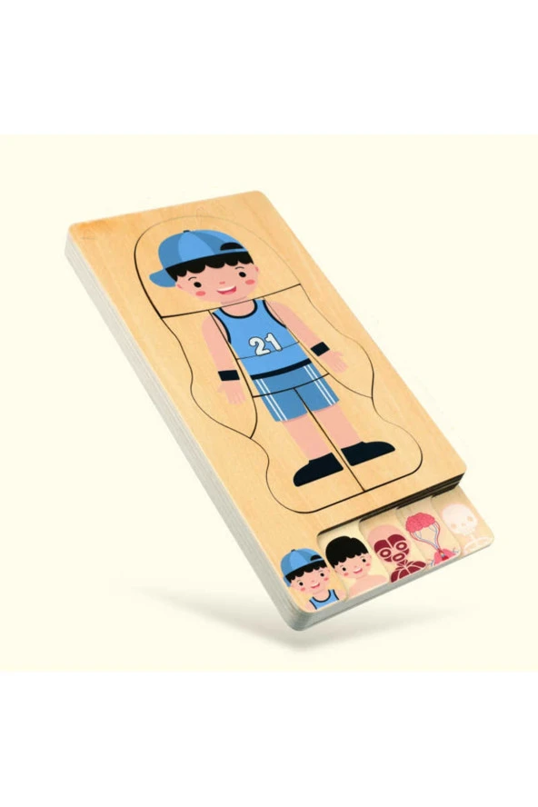 Montessori Waldorf Öğrenme Ahşap Erkek Insan Vücudu Anatomisi Puzzle