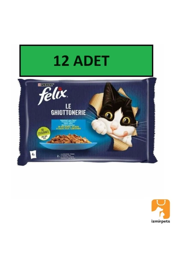 FELİX Felix Multipack Somonlu ve Ton Balıklı 4x85 gr 12li Yetişkin Kedi Yaş Maması