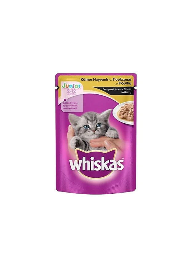 Yavru Kedi Yaş Maması Kümes Hayvanı 100 gr X 12 Adet