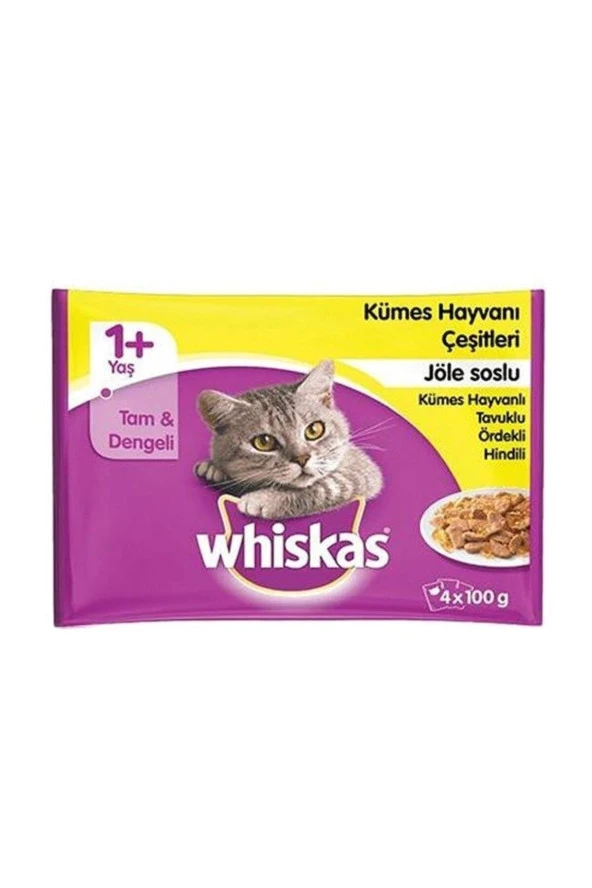 Kümes Hayvanı Çeşitleri Kedi Konserve 4 X 100 Gr(5 Adet)