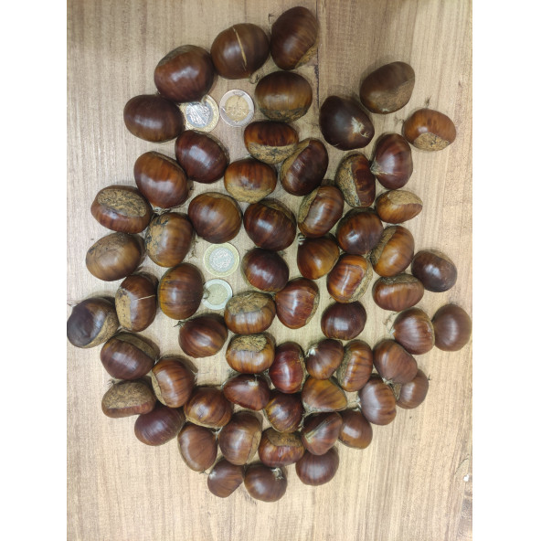 Doğal Gelsin Coğrafi İşaretli Meşhur Simav Kestanesi (Büyük Boy) - 1 Kg - 5