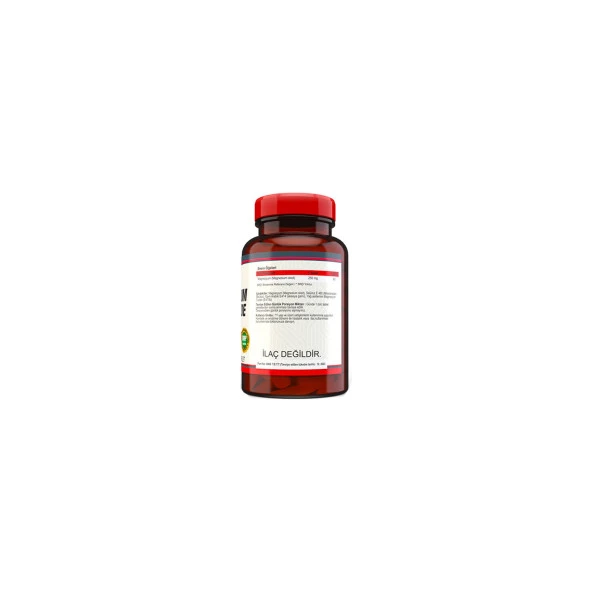 Nevfix Magnesium Oxide Magnezyum 250 Mg 120 Tablet - 2