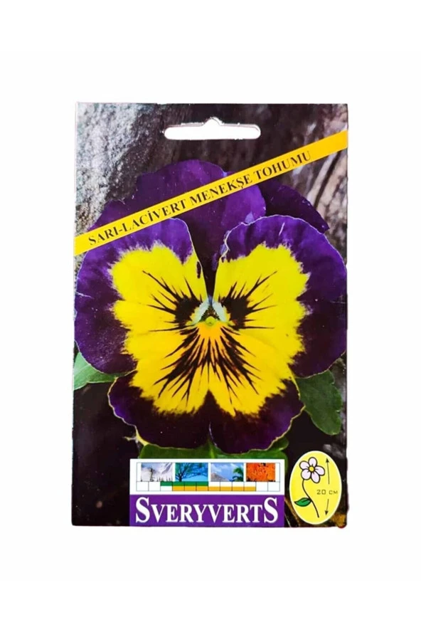 Sarı - Lacivert Menekşe Çiçeği Tohumu