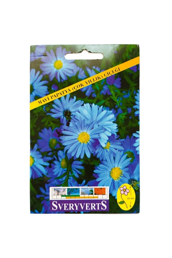 Mavi Papatya Çiçeği Tohumu