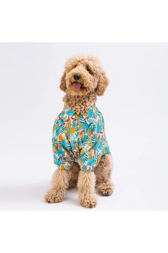 Pawstar Folia Büyük Köpek Gömleği - Köpek Kıyafeti (15 KG-45 KG) 5XLarge