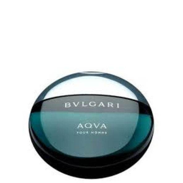 Bvlgari Aqva Pour Homme EDT 100 ml Erkek Parfümü