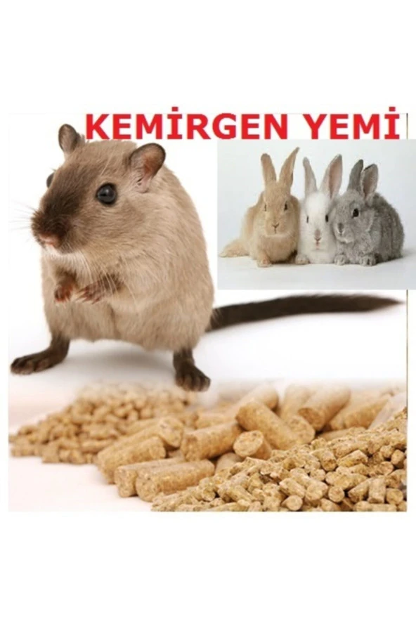 1 Kğ Kemirgen Yemi