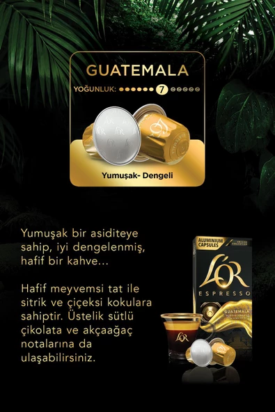 L'OR Espresso Origin Guatemala Kapsül Kahve 10 x 10 Paket ( 100 Adet ) - Resim 4