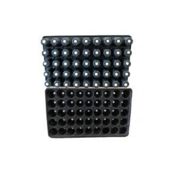 10 ADET 45 Lik Viyol Fide, Tohum Çimlendirme Viyolü - 2