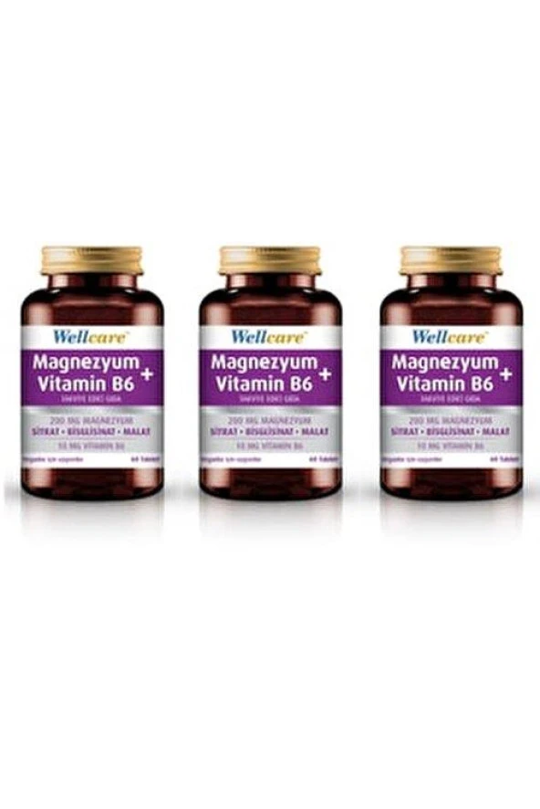 Wellcare Magnezyum + Vitamin B6 60 Tablet 3 Kutu