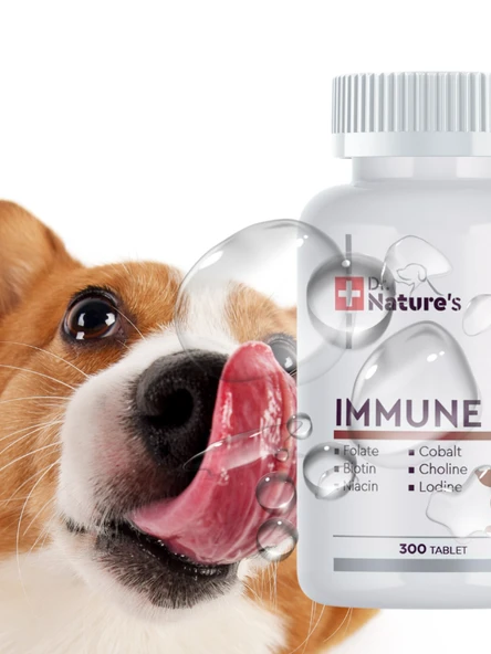 Dog Immune Support | Bağışıklık Güçlendirici Vitamin & Beta Glucan (300 Tablet) - Resim 2