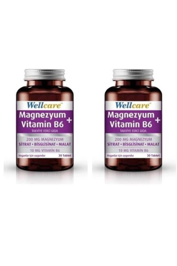 Wellcare Magnezyum + Vitamin B6 30 Tablet 2 Kutu ürün görseli