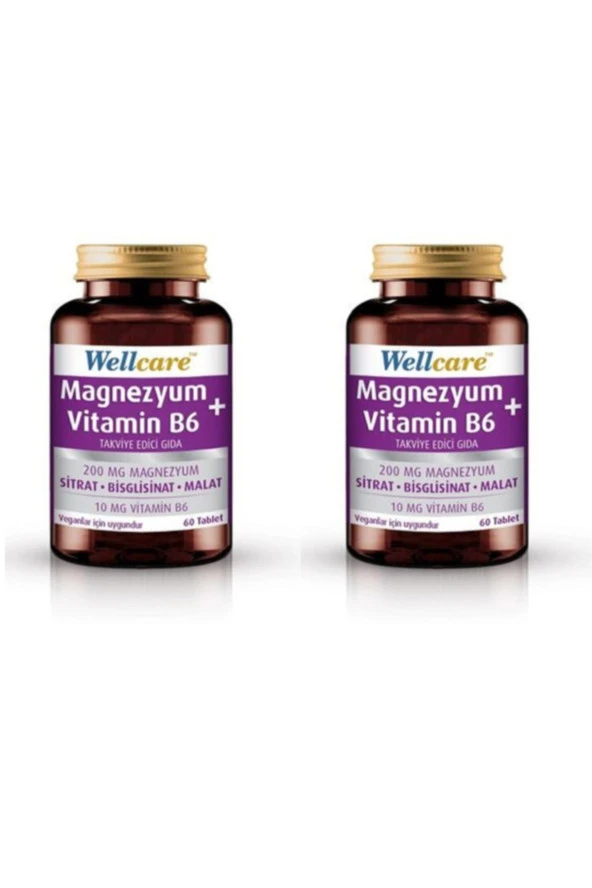 Wellcare Magnezyum + Vitamin B6 60 Tablet 2 Kutu ürün görseli