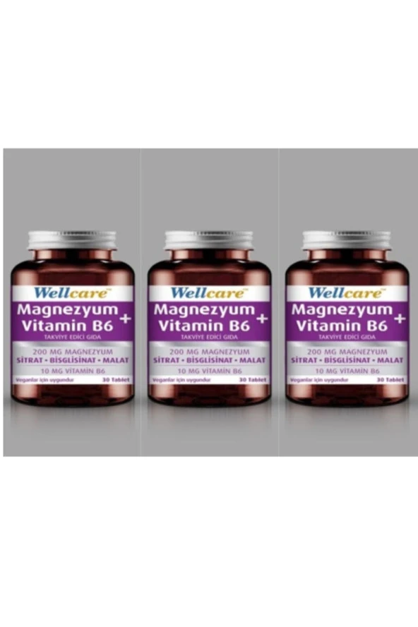Wellcare Magnezyum + Vitamin B6 30 Tablet 3 Kutu