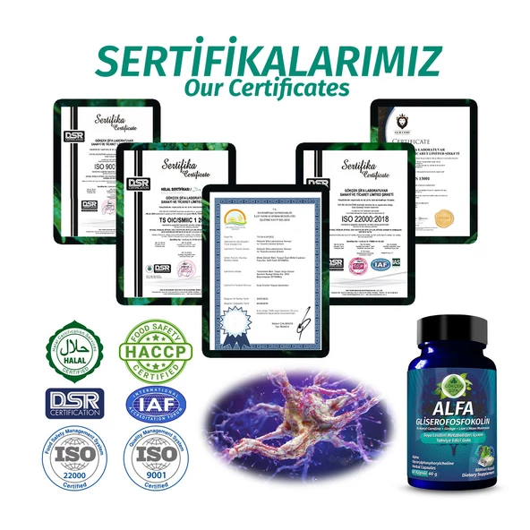 Alfa Gliserofosfokolin Kapsül (ALPHA GLYCERYLPHOSPHORYLCHOLİNE CAPSULE) - Resim 5