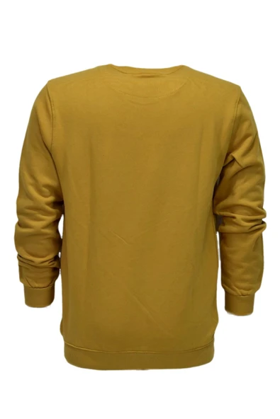 Erkek Baskılı Spor Sıfır Yaka Sweatshirt R2201 BGL-ST03191 - Resim 12