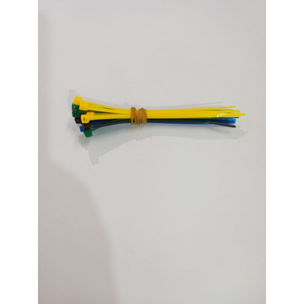 Kümes Hayvanları Soy Takibi Cırt Kelepce 2x100 mm Karışık Renkli - 3