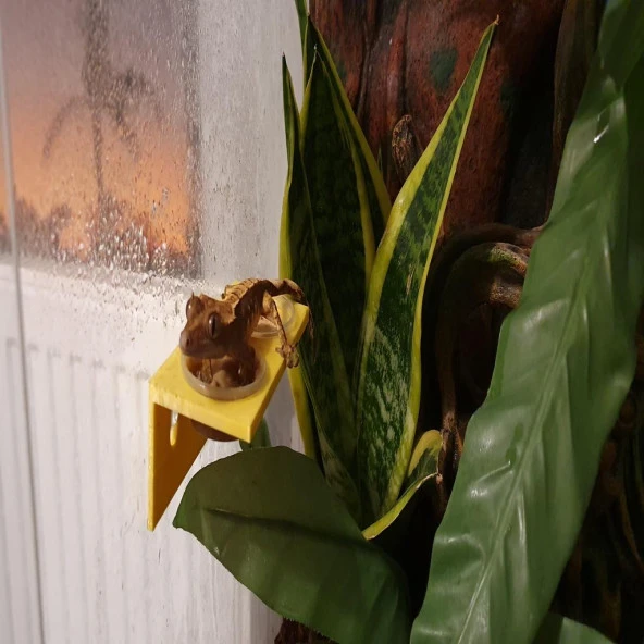 Terrarium Besleyici Plastik Aparat - 2