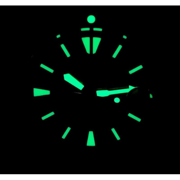 Seiko Prospex PADI SRPA 4R35-01Y0 Otomatik Siyah Erkek Kol Saati Diver 200 m - Resim 6