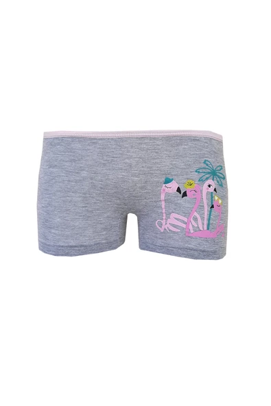 5li Kız Çocuk Boxer Renkli Baskılı Pamuklu Neşeli - 11