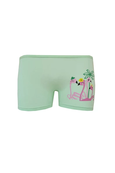 5li Kız Çocuk Boxer Renkli Baskılı Pamuklu Neşeli - 12