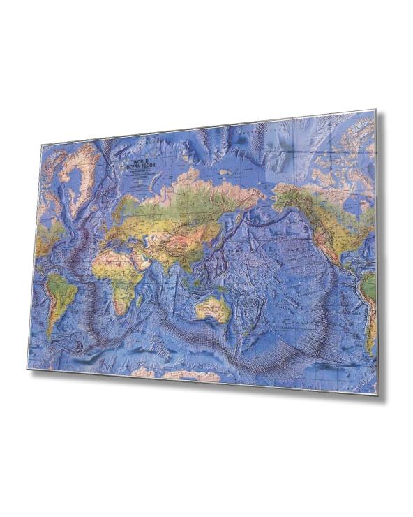 Dünya Haritası  Tablo